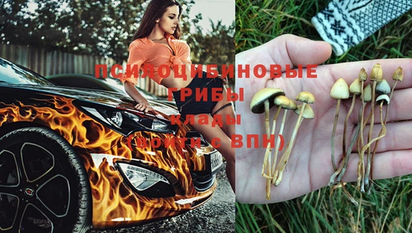 круглые Алексеевка