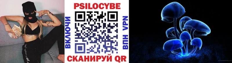 Галлюциногенные грибы прущие грибы  Апатиты 