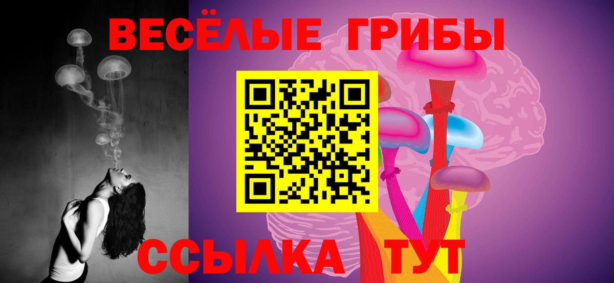 Псилоцибиновые грибы Magic Shrooms Апатиты